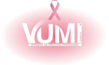 Logo VL Header